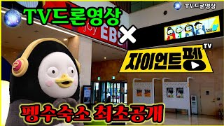 #138 #펭수#자이언트펭TV#펭수빌려드림#펭수숙소#펭수콜라보#참치