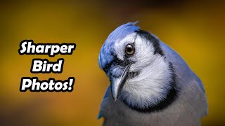 HERE’S WHY YOUR BIRD PICS AREN’T SHARP. screenshot 4