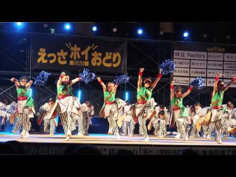 2016 ODAWARAえっさホイおどり　聯