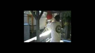 Kick boxing mop trailer 2