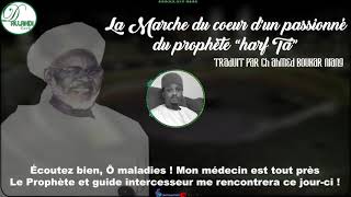 « TABIBI » Seyrou khalb ( La Marche du cœur ) ‘’Harf Tā’’ 🎙 Omar Mustafa Niang Resimi