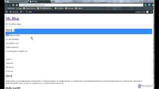 Wordpress Theme Development(Part: 1)