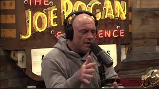 Joe Rogan Pro Wrestling in Japan and  Importance of Wrestling in MMA  Ric Flair