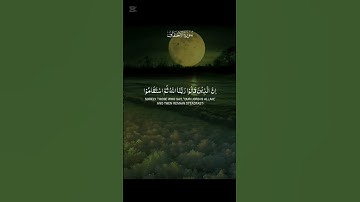 آيات بينات من الذكر الحكيم بصوت جميل ومأثر ❤ #اكسبلور #لايك #duet #لايك