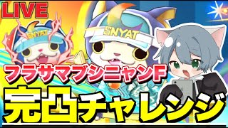 きゃっとの配信のサムネイル画像