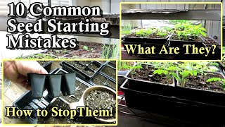 10 Common Seed Starting Mistakes and How to Prevent Them: Light, Water, Soil, & Fertilizer Tips