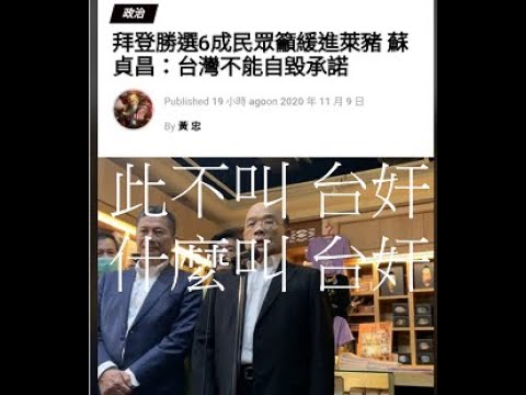 蔡英文在第一时间，参与了美国 民主党的【选举式 政变