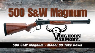 500 S&W Magnum In a Carbine