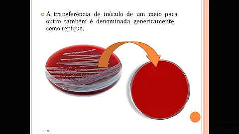 O que é chagoma de inoculação é sinal de Romana?