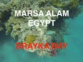 Marsa Alam Brayka Bay vacation
