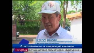 Ответственность за вакцинацию животных Ответственность за вакцинацию животных