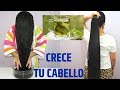 😱 Agua Milagrosa??? para Hacer Crece el Cabello y Detener la Caída en días / Agua de ORTIGA