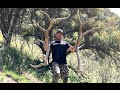 HUGE ELK SHED ANTLERS | 15 POUNDERS 6X7!! HUGE ELK SHED ANTLERS | 15 POUNDERS 6X7!!