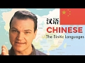 Chinese  the sinitic languages