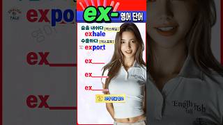 👀 영어 초보도 쉽게 이해하는 ‘ex’ 단어 핵심 정리!