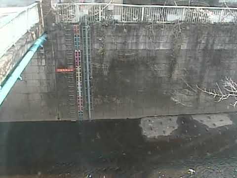 神田川 南小滝橋 ライブカメラ (2023/01/30) 定点観測 Kanda River Live Camera
