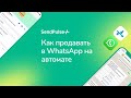 Как продавать в WhatsApp на автомате. WhatsApp чат-боты SendPulse