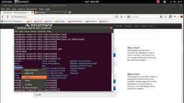 OpenSatck Horizon How to Run Selenium Unit Tests