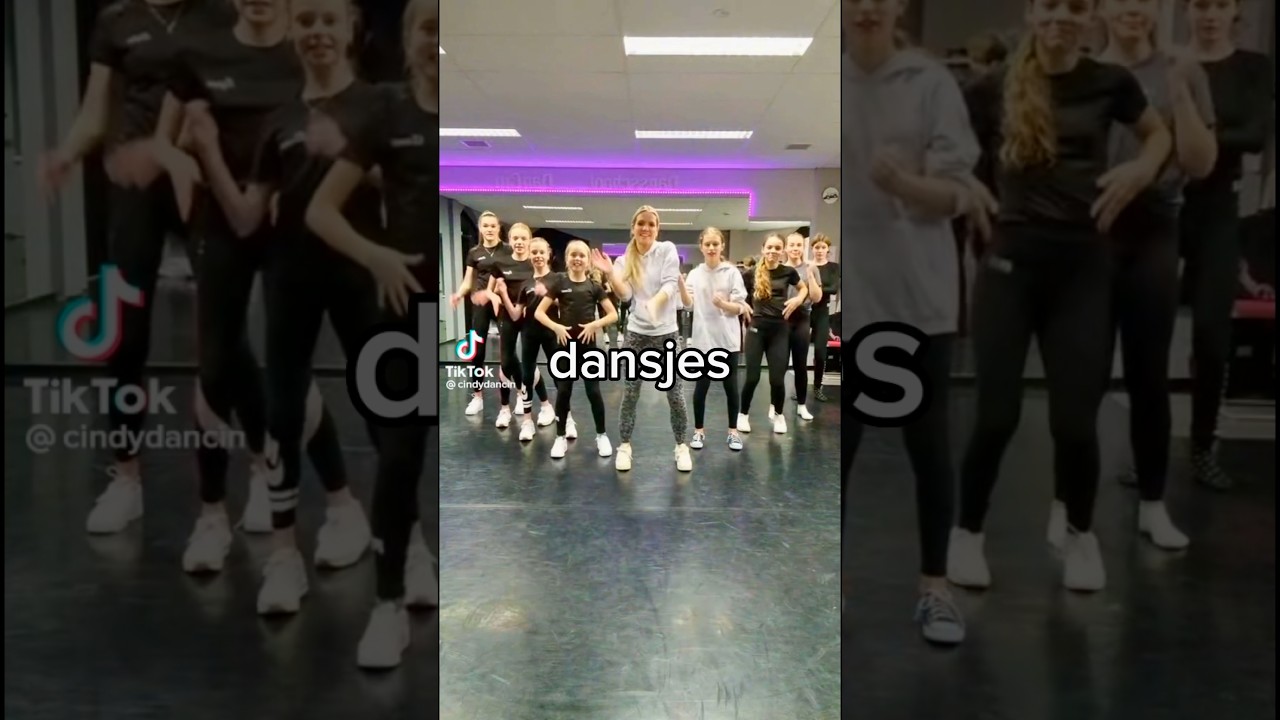 Ik Leerde Zoveel Mogelijk TikTok Dansjes Binnen 1 Uur