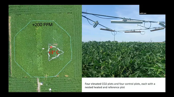 Carl Bernacchi: Understanding and Altering Crop Re...