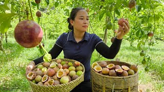 Harvesting Passion Fruit Goes to the market sell - Cooking with family - Lý Thị Ca