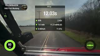 2025 Honda Pioneer 1000-3 Deluxe (Dragy Run)