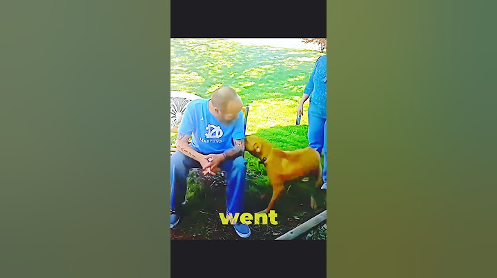 Dog Doesn’t Recognize Owner After Years... Until This Moment 😢 #shorts
