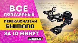 :    Shimano  MTB  10 