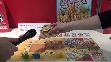 Camel Up overview at Spielwarenmesse 2014