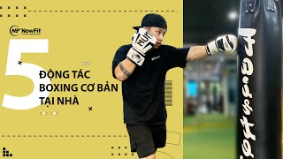 5 đòn đánh boxing cơ bản | Hướng dẫn các bước tập boxing đúng kỹ thuật | Boxing cùng Nowfit