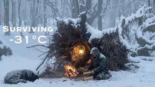 Can I Survive Inside a Fallen Tree at –31°C? | Extreme Winter Survival