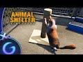 Animal shelter simulator  jouvre mon refuge pour animaux 