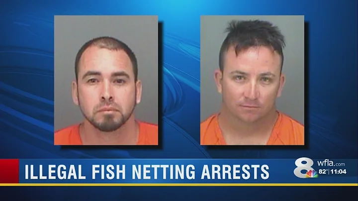 2 Tampa men arrested after dolphin calf found dead...