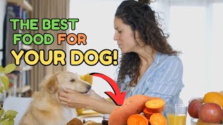 10 Human Foods that Are Actually Good for Dogs by Dog Talks 1,127 views 1 month ago 3 minutes, 46 seconds