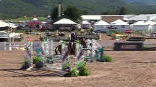 Video Of Clover Ridden By Ashleigh Scully From Shownet