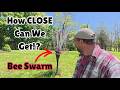 How CLOSE Can We Get Bee Swarm 
