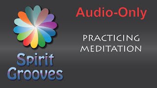 013 Practicing Meditation, with Michael Erlewine