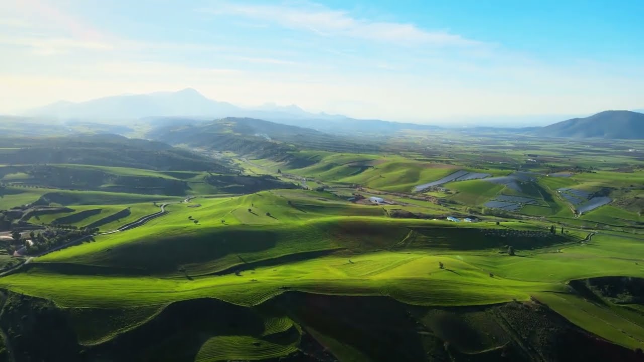 Οι πανέμορφοι λόφοι στο Αμπελοχώρι Βοιωτίας | 4k
