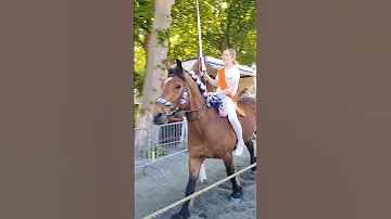 ?? Ringrijden Grijpskerke ????  Nederland @TravelwithHugoF  #ringrijden #horses #grijpskerke