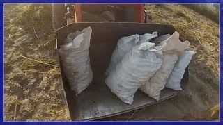 Сломали ДРОВОКОЛ, копаем КартошКУ, #ЛТЗ_60АВ и Т-40
