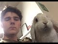 Alex Ernst and his bunny Bailey compilation