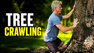 Tree Crawling: Build Strength & Cat-Like Agility