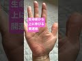 生命線から上に伸びる開運線 この方は40歳と60歳くらいに開運します