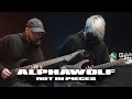 Alpha wolf  rot in pieces official guitar playthrough