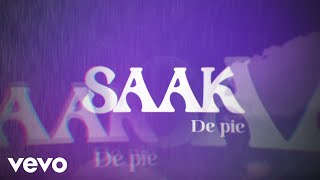 Saak - De Pie