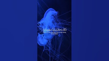 قران كريم بصوت جميل #قرآن #القرآن_الكريم #قران_كريم #دويتو #quran