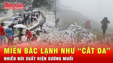 Miền Bắc rét hại có nơi xuất hiện sương muối, miền Trung mưa lớn phức tạp | Tin tức 24h