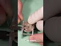 Seiko, master of parts efficiency #watchmaking #watch #seiko