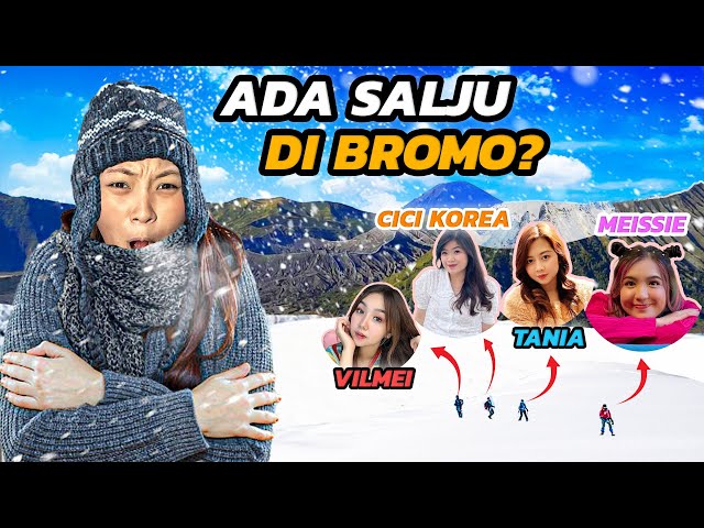 SALJU DI BROMO ?! VLOG BARENG MEISSIE VILMEI KLARA TANIA CICI KOREA !! class=