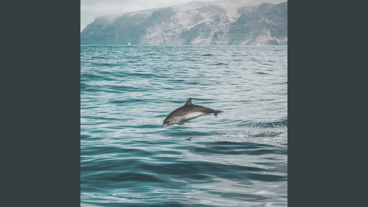 Charming Ambience for Beach Parties